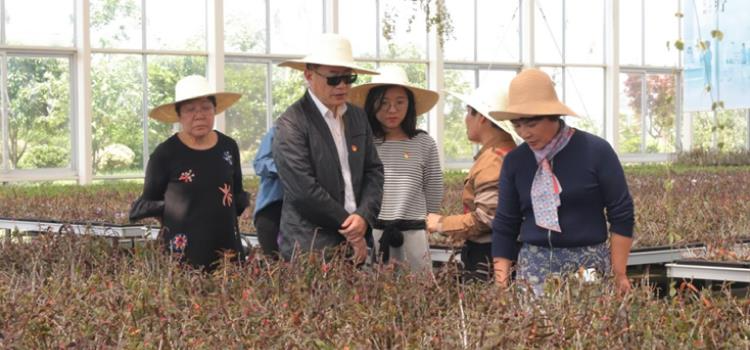 “百名干部聯(lián)百企破百題”專項行動